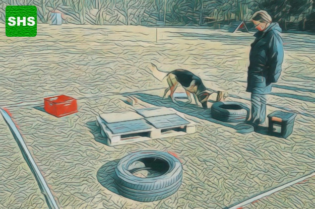 SKN Erwerbsseminar SPÜRHUNDSPORT 