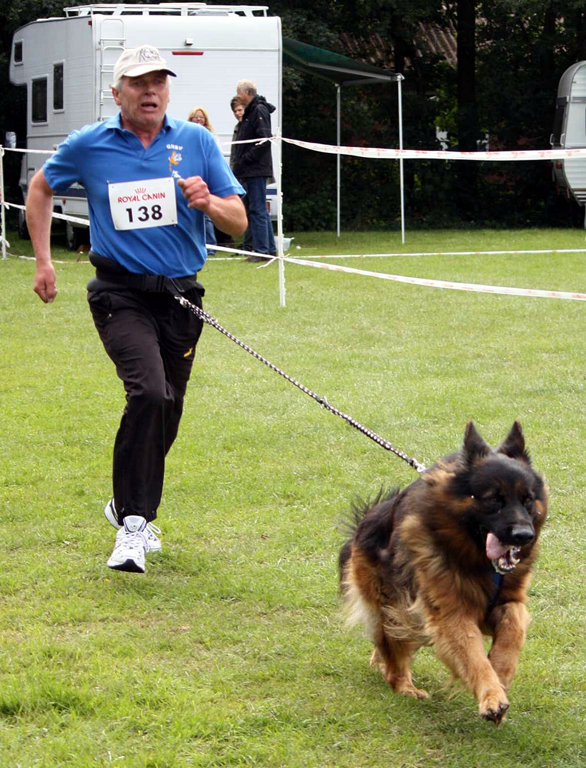 Harald - Foto: Sönke Hansen