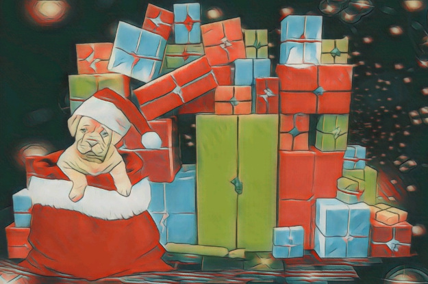 Weihnachtsgrüße des 1. Vorsitzenden