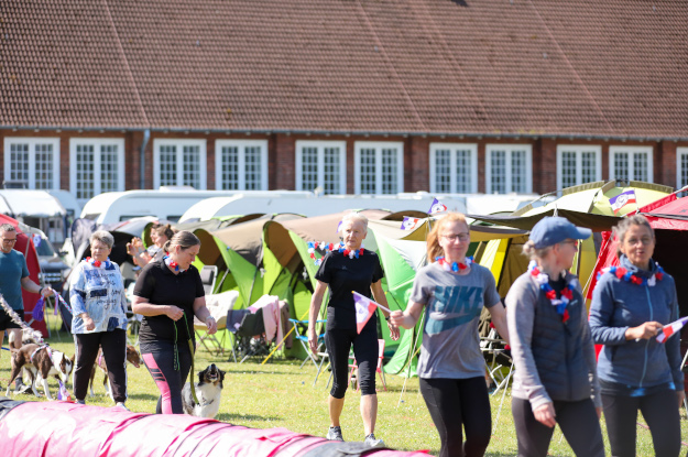 Landesmeisterschaft Agility 2026