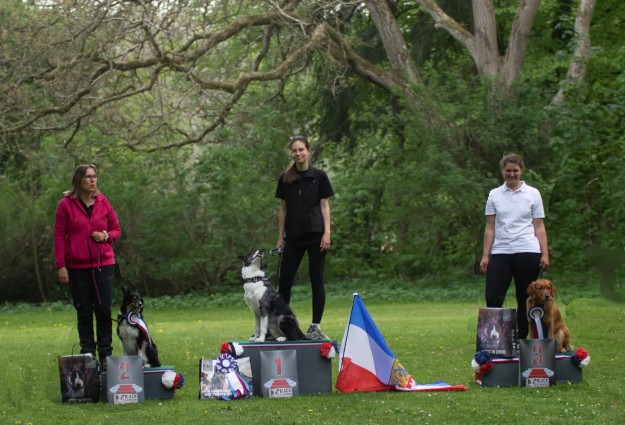 Landesmeisterschaft Obedience 2026