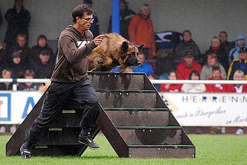 Bernd+Heinrich - Foto Berti Jungs