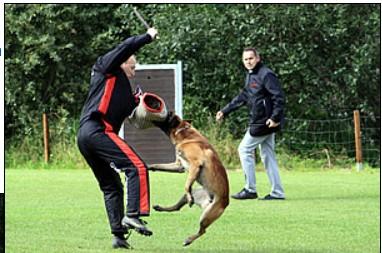 Schutzdienst - Foto Sonja Lämmerhirt