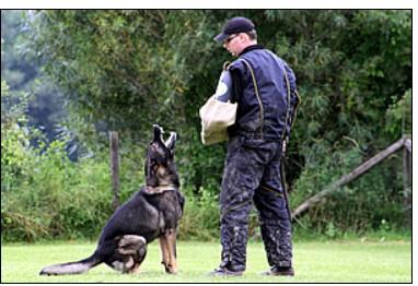Schutzdienst - Foto Sonja Lämmerhirt