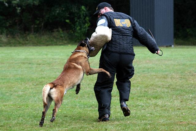 Nobody in Aktion - Foto: Sabine Weiß