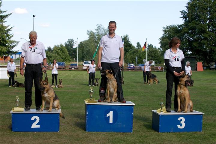 Hans- Jürgen Freitag mit Chilly - Joachim Neeb mit Ida - Gönnar Ritke mit Timber