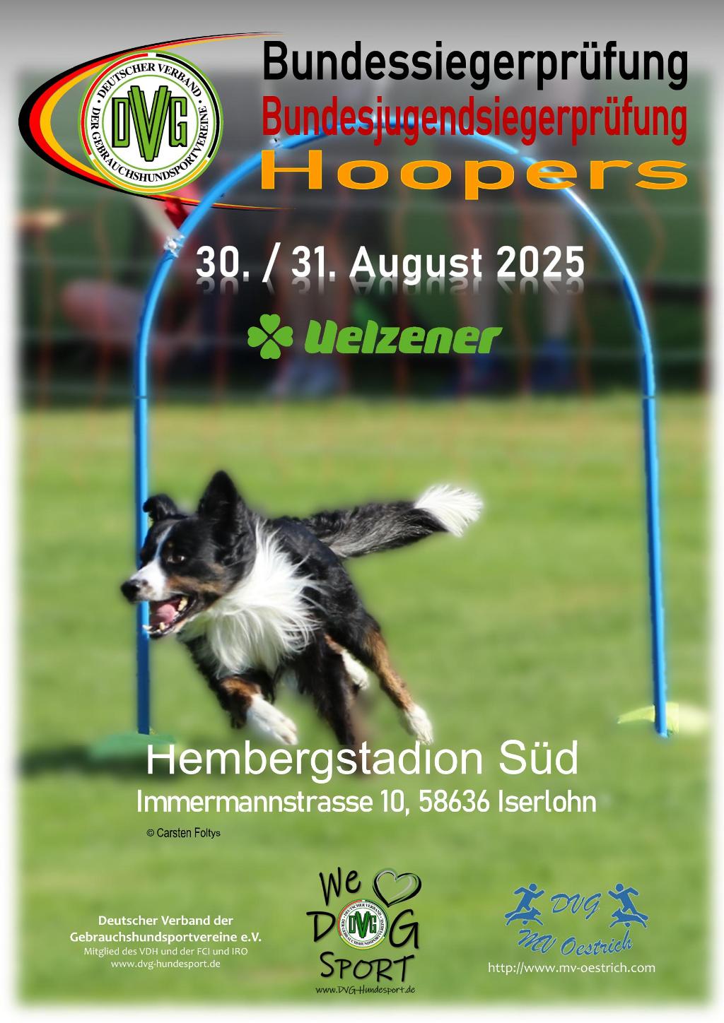 plakat dvg bsp hoopers 2025