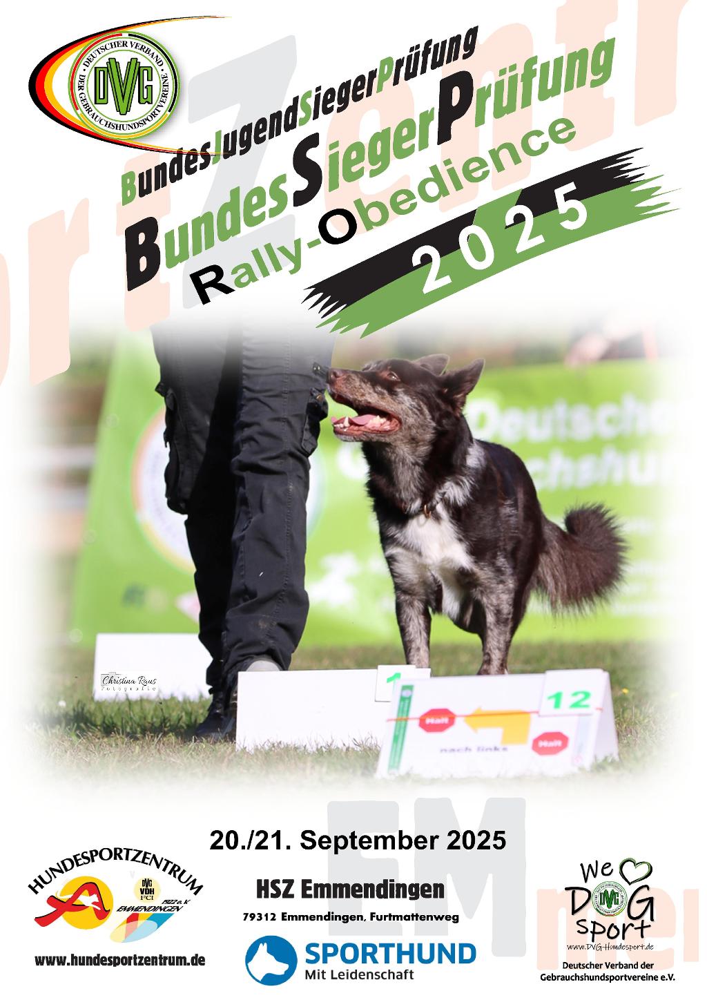 plakat dvg bsp ro 2025