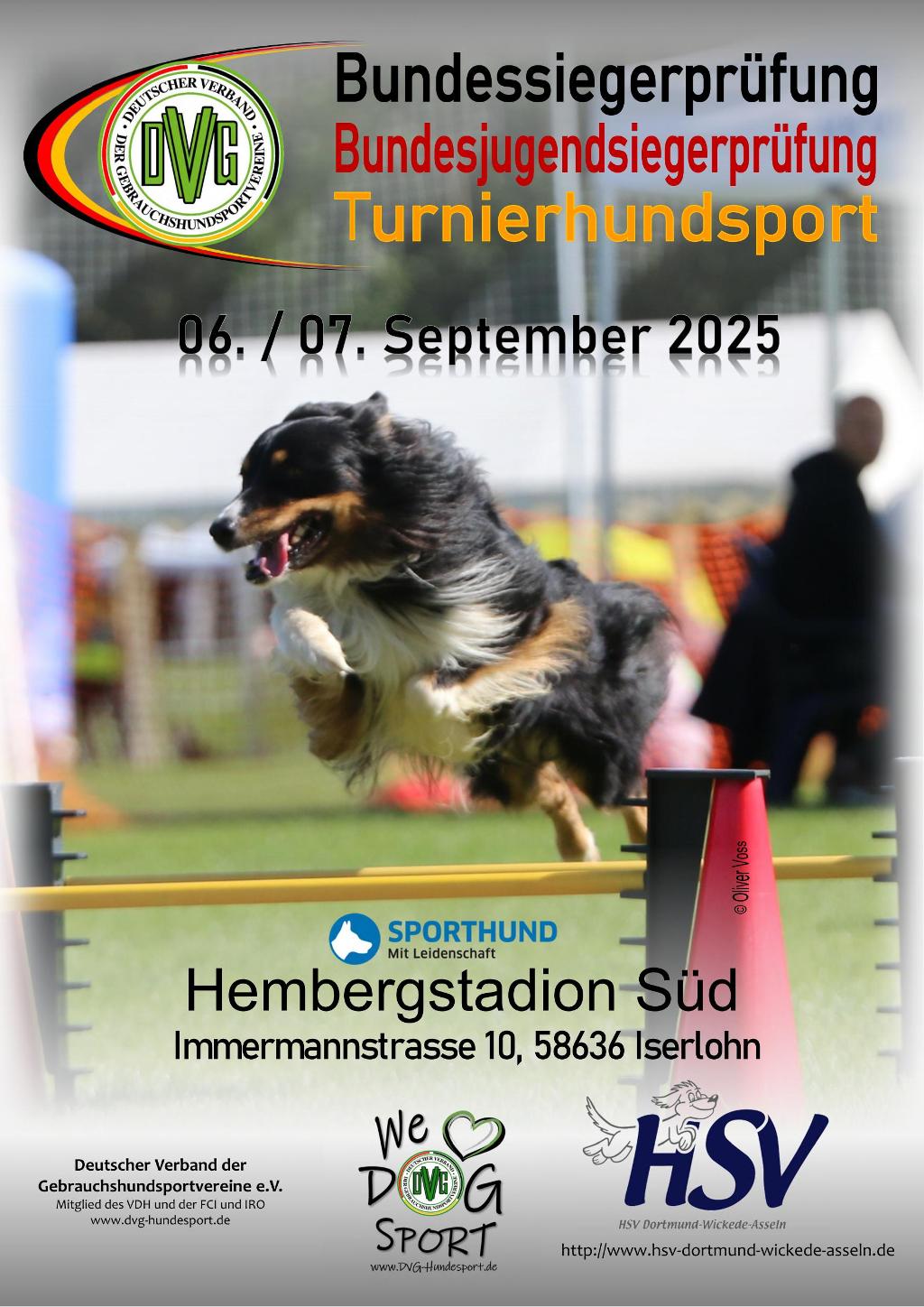 plakat dvg bsp ths 2025